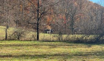 815 White Oak Rd, Artie, WV 25008