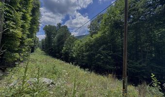 TBD Paint Fork Rd, Barnardsville, NC 28709
