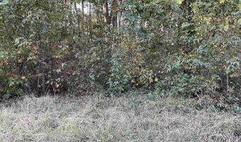 3551 Moonlight Rd, Barnwell, SC 29853