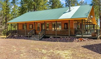 61 Co Rd 2266, Alpine, AZ 85920