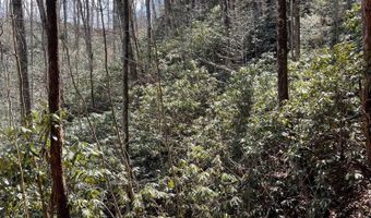 HWY 52 W, Beattyville, KY 41311