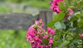 45 Freedom Rd, Belgrade, ME 04917