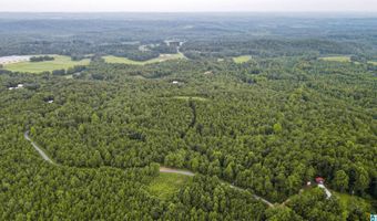 200 TABLEE LANE Lot 17.65, Ashland, AL 36251