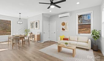 24 Lower Grassy Branch Rd, Asheville, NC 28805