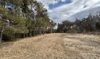5280 Cathro Rd, Alpena, MI 49707