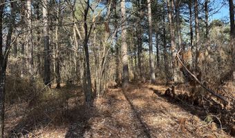 1106 LONGLEAF Way, Lincolnton, GA 30817
