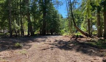 Lots 35 & 36 Dolly Vardon, Bayview, ID 83803