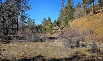 618 Quail Dr, Ahsahka, ID 83520