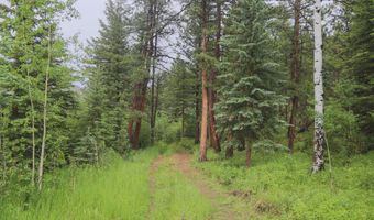 TBD Old Flowers Road, Bellvue, CO 80512