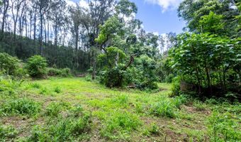 54-1749 PAIPO KANE Rd, Kapaau, HI 96755