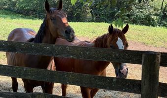 14105 LEE Hwy, Amissville, VA 20106