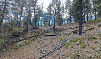 1077 Roland Dr Lot 3, Bailey, CO 80421