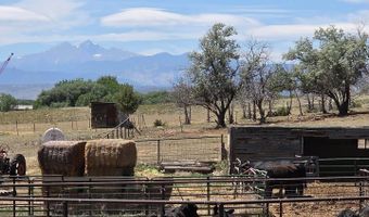 20219 County Road 3, Berthoud, CO 80513