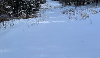 13102 Seaberg Ln, Bagley, MN 56621