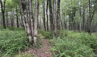 154 Lang Rd, Accord, NY 12404