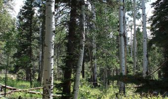 El Camino Real, Angel Fire, NM 87710