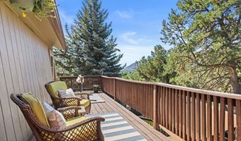 217 Longhorn Ln, Basalt, CO 81621