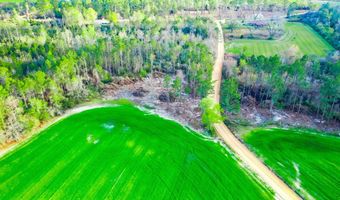 Beaufort Rd. & Warnock Rd, Alma, GA 31510