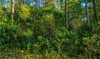 Whiteville Road NW lot 1, Ash, NC 28420
