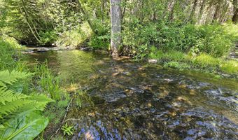 Nka Raven Lane, Careywood, ID 83809