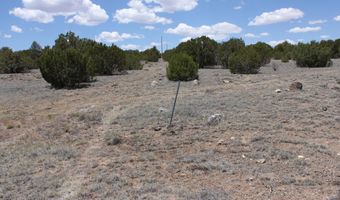 N8190, Concho, AZ 85924
