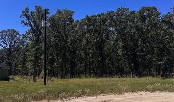 Lot 19 Saddle Creek Ct, Alba, TX 75410