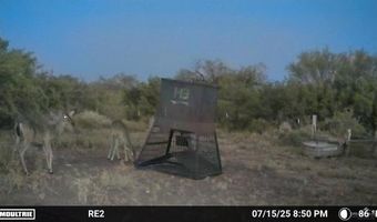 000 County Road 173, San Diego, TX 78332