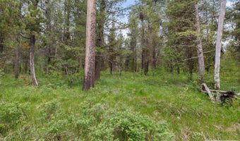 1537 Shadow Run, Ashton, ID 83420