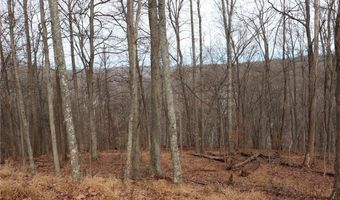 Route 12 Road, Alum Creek, WV 25003