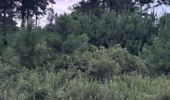 Fop Lodge Rd, Andalusia, AL 36421