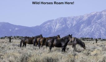 330 Veris Ct 1, Gardnerville, NV 89410