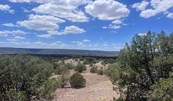 41 Indian Drive CR 8062, Concho, AZ 85924