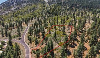 490 Nature's Edge Rd, Gardnerville, NV 89460