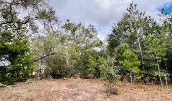 85 Th St, Bell, FL 32619