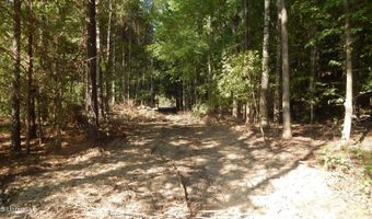 404 247 Country Rd, Bruce, MS 38915