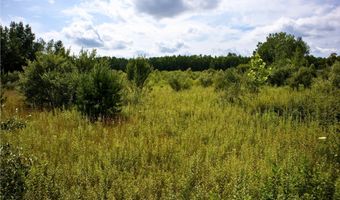 VL 104th Avenue, Allegan, MI 49010