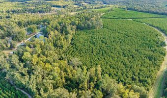3275 Hadden Pond Rd, Avera, GA 30803