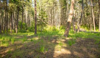 14690 Shore Acres Dr, Bigfork, MT 59911