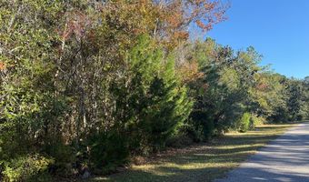 129 Water Oaks Way, Apalachicola, FL 32320