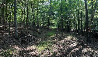 Lot 2B Gidsville Road, Amherst, VA 24521