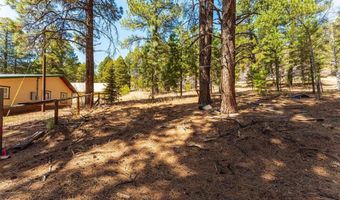 116 Pine Dr, Bayfield, CO 81122