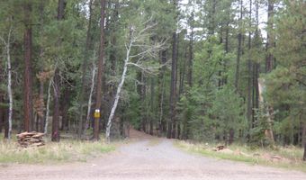 38 CR 2266, Alpine, AZ 85920