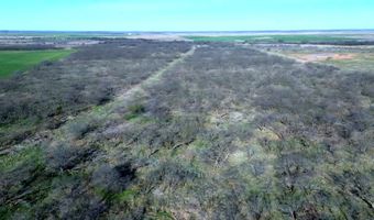 Knox County Road, Archer City, TX 76351