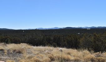 Tbd Stanford Road, Concho, AZ 85924