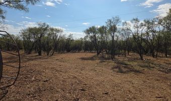 6525 US Highway 180 E, Anson, TX 79501