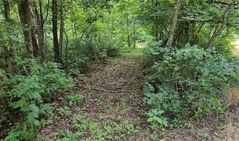 14163 Highway C, Annapolis, MO 63620