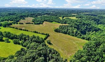 193 Ac Massa Rd, Baxter, TN 38544
