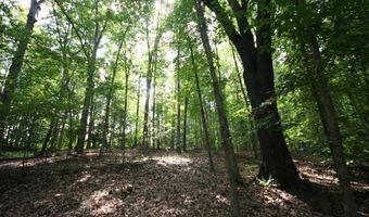 TBA BETTYS BRANCH RD X, Arvonia, VA 23004