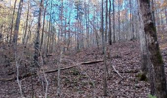 BLACKJACK ROAD lot 0, Argo, AL 35173