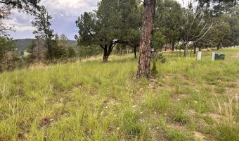 243 Deer Park Dr Lot 115, Alto, NM 88312